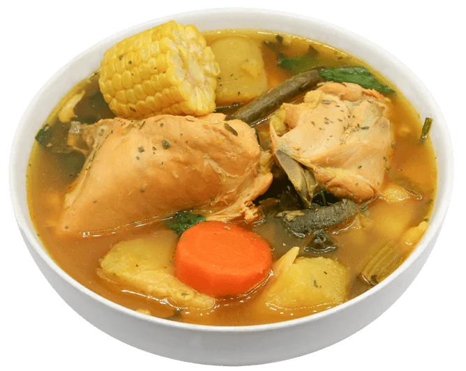 chicken stew in deep plate